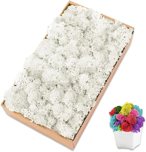 Vista 28 de Musgo de reno azul de 3.5 onzas, musgo preservado para plantas, decoración de musgo, musgo verde para manualidades, musgo para plantas en maceta