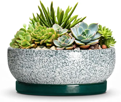 Vista 16 de Succulent Pots, 6 Inch Ceramic Bonsai Pots with Saucer, Blue