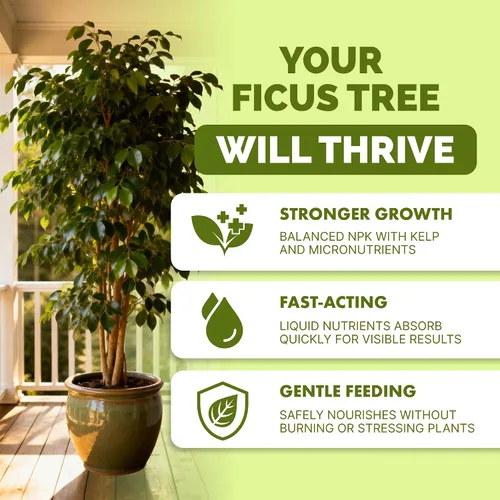 Vista 2 de Fertilizante Ficus Tree - Alimento líquido para plantas para un follaje exuberante, raíces más fuertes y un nuevo crecimiento saludable, 8 onzas