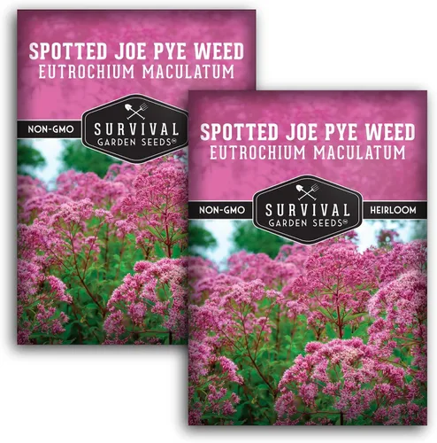 Vista 11 de Spotted Joe Pye Weed Semillas de flores silvestres para plantar (paquete de 1)