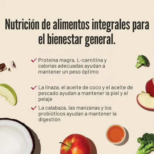 Vista 7 de The Honest Kitchen Whole Food Clusters - Alimento seco para perros de raza pequeña con pollo y grano integral, bolsa de 4 libras
