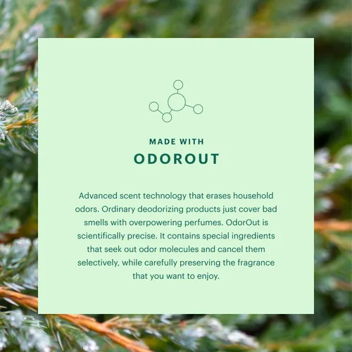 Vista 4 de Aera Mini Cypress & Juniper - Recambio de cápsula de fragancia de aceite esencial fabricado con tecnología OdorOut - Notas de romero, pomelo
