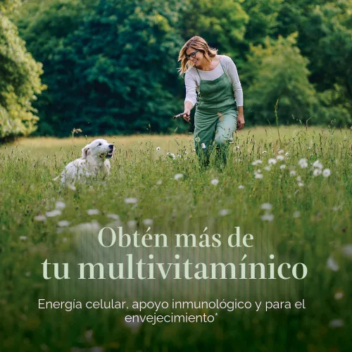 Vista 2 de Comprimidos multivitamínicos para mujeres de 40 años en adelante New Chapter, una al día, ANC-204, 1, 1