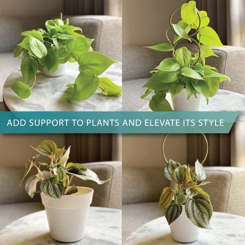 Vista 3 de Pequeño enrejado de metal para plantas de interior, estacas de metal para plantas trepadoras, soporte para plantas en maceta, orquídeas, Monstera