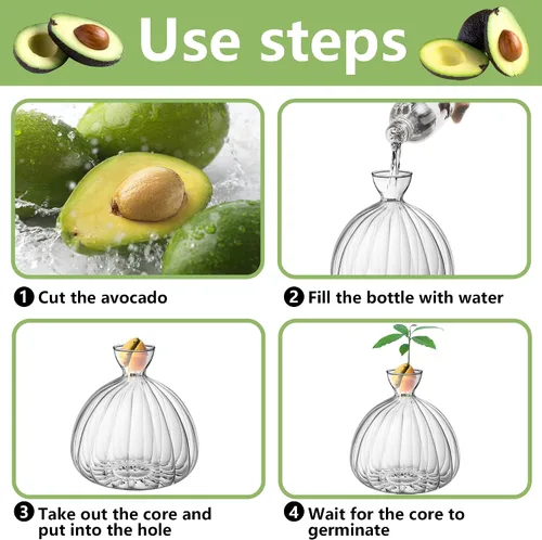 Vista 3 de Jarrón de inicio de semillas de aguacate, contenedor de vidrio grueso para brotes de semillas de aguacate, kit de cultivo de árboles de aguacate