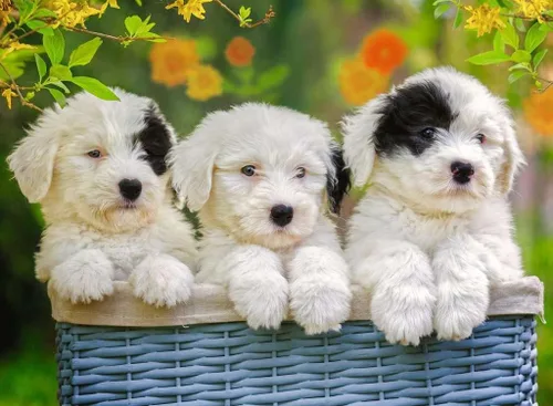 Vista 2 de Ravensburger 12765 8 Puppy Sister - Rompecabezas de 200 piezas