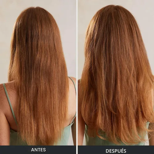 Vista 4 de Champú especial de Tea Tree, Limpieza profunda, Refresca el cuero cabelludo, Para todo tipo de cabello, especialmente cabello graso