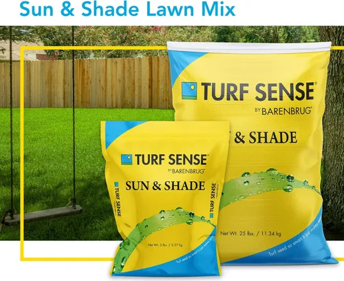 Vista 2 de Barenbrug 25619 Turf Sense Grass Seed crece en áreas de sol y sombra parcial, bolsa de 5 libras