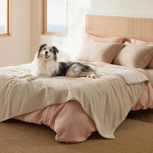 Vista 61 de Bedsure - Mantas impermeables para perros pequeños - Manta de felpa de sherpa con impresión suave lavable para perros y gatos, protector de muebles