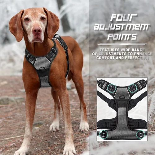 Vista 72 de BARKBAY - Arnés para perro sin tirones con clip frontal, material resistente y reflectante, asa de fácil control para pasear perros grandes