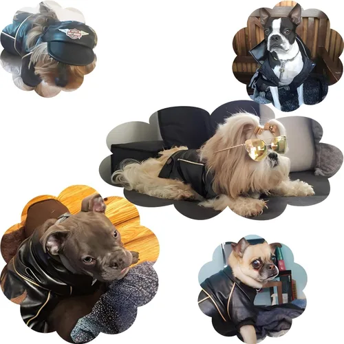 Vista 4 de Chaqueta de cuero para perros, lindas chaquetas de cuero para perros, ropa de motocicleta con botones, abrigo de invierno impermeable para perros