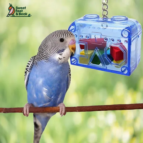 Vista 4 de Sweet Feet and Beak Cofre del tesoro grande o pequeño, juguete perfecto para jaula de pájaros, colorido, seguro, fácil de instalar, lavable