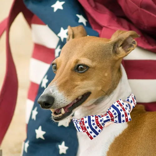 Vista 5 de Elegant little tail Independence - Collar patriótico para mascotas con pajarita para mascotas del 4 de julio de algodón suave para mascotas