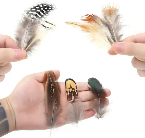 Vista 4 de Ballinger - Plumas naturales surtidas para manualidades, 180 unidades, 9 estilos Small Real Pheasant Bird Feathers for DIY Crafting,Jewelry,Dream