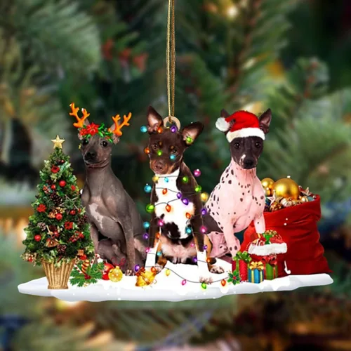 Vista 20 de Nazenti Adorno de Navidad personalizado con amigos Affenpinscher – Adorno de perro personalizado para amantes de las mascotas, acrílico plano