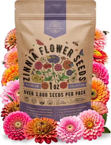 Vista 7 de Paquete de semillas de caléndula 1 oz - Más de 3,250 semillas de caléndula criollas sin OMG para plantar en jardinería interior y exterior, semillas