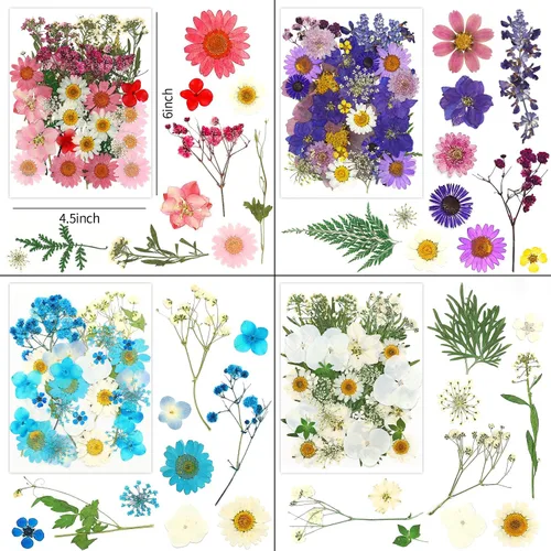 Vista 2 de Más de 170 pétalos de hojas de flores secas prensadas para manualidades, hermosas flores prensadas margaritas para joyas de resina, flores