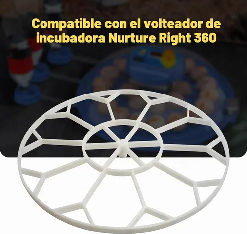Vista 5 de JGT360 - Bandeja para razas pesadas de ganso con capacidad para 10 huevos Compatible con el girador de incubadora Nurture Right 360