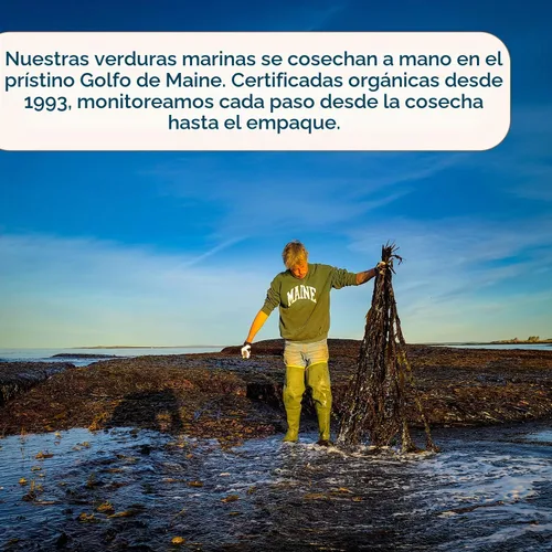 Vista 6 de Maine Coast - Coctelera orgánica de triple mezcla de 1 onza (paquete de 1) – Mezcla de dulse, lavanda y lechuga marina – Sabor natural Umami