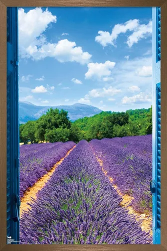 Vista 16 de Trends International Póster de pared de campo de lavanda, 14.725 x 22.375 pulgadas, versión enmarcada de madera de granero Versión enmarcada Barnwood