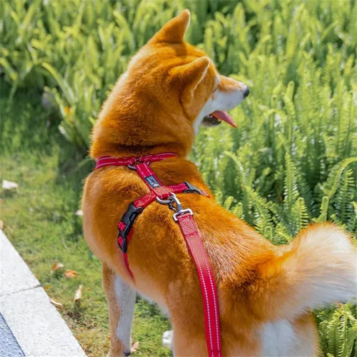 Vista 8 de EXCELLENT ELITE SPANKER Arnés sin tirones para perro, chaleco de nailon reflectante en forma de L, ajustable y fácil para mascotas, para razas Negro