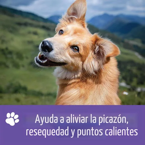 Vista 4 de Nizoral Champú para mascotas Ketoconazol, 16 onzas, clorhexidina, perros