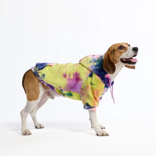 Vista 122 de Spark Paws Sudadera con capucha para perro, suéter de primera calidad para perros pequeños, medianos y grandes Trajes cálidos para bulldogs