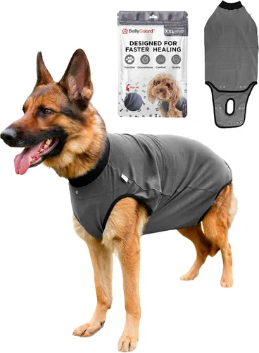Vista 15 de Traje de Recuperación Quirúrgica BellyGuard para Perros, Mameluco para Perros para Cuidado Post-Operatorio, Ropa de Recuperación para Perros Hembra