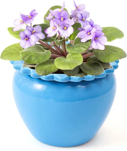 Vista 8 de Maceta para Flores Violeta Africana Verde de Cerámica con Riego Automático 6.5 * 4.6 * 4 pulgadas Maceta Simple para Plantas con Riego Automático