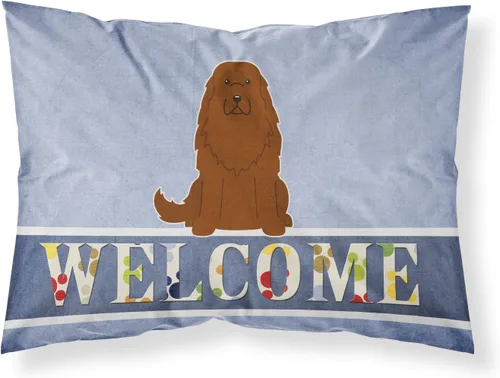 Vista 174 de Caroline's Treasures BB2515PILLOWCASE Between Friends Appenzeller Sennenhund - Funda de almohada de tela estándar, ligera, súper suave, fácil
