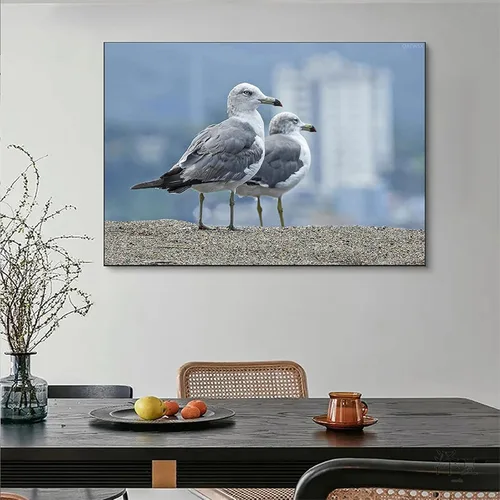 Vista 2 de QAZWSX Gaviota Birds - Kit de pintura de diamante 5D para adultos y niños, pintura de diamante para decoración de pared del hogar, 11.8 x 15.7 in