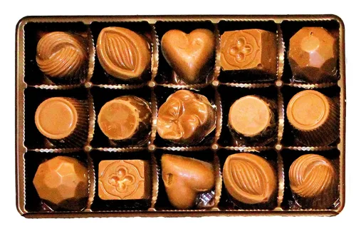 Vista 4 de Lang's Chocolates Chocolates negros surtidos – Lechería kosher certificada – Caja de chocolates para regalar – Caramelo, mantequilla de maní, racimo