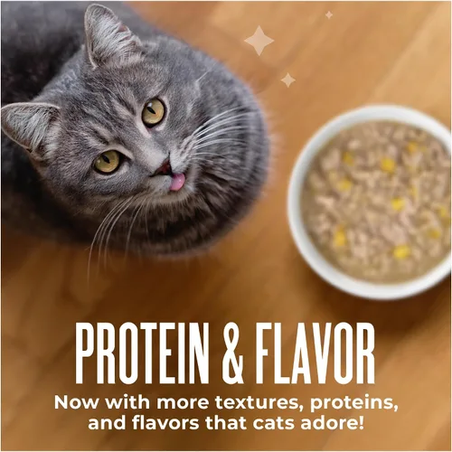 Vista 8 de Tiki Cat Aloha Friends Alimento húmedo y sin cereales para gatos de todas las edades, recetas de pollo con calabaza, sobres de 2.5 onzas