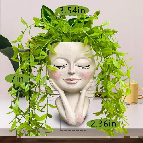 Vista 5 de Macetas Cara de Plantas en Forma de Cabeza - Lindas Macetas para Suculentas, Macetas para Plantas de Interior con Sistema de Drenaje, Regalos