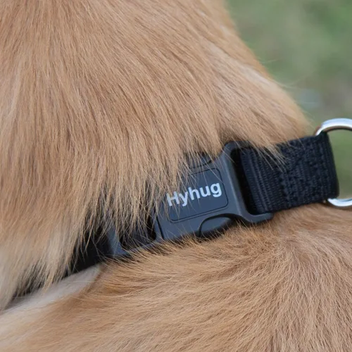 Vista 7 de Hyhug Pets - Collar clásico para perros de la colección regular de color sólido (S, negro)