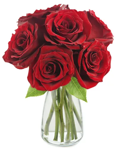 Vista 12 de KaBloom - Rosas arcoíris (media docena)- Flores frescas para cumpleaños, San Valentín y Día de la Madre