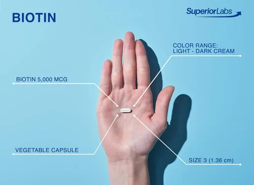 Vista 4 de Superior Labs – Mejor suplemento natural de biotina sin OMG – para un cabello y pestañas más deliciosas – Uñas más fuertes – Piel sana – Potenciador
