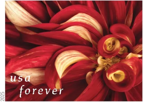 Vista 5 de Dahlias 2025 (Libro de 20) Sellos Postales Forever de Primera Clase