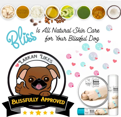 Vista 8 de The Blissful Dog Affenpinscher Boo Mantequilla, 15 oz