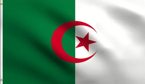 Vista 103 de DMSE - Bandera nacional beninesa beninesa de la República de África Occidental, 2 x 3 pies, 100 % poliéster, 100 % poliéster, resistente a los rayos