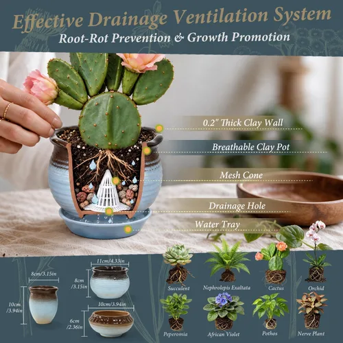 Vista 4 de Macetas pequeñas de cerámica para plantas, decoración artística