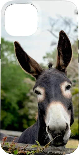 Vista 9 de Funda Donkey para iPhone 17