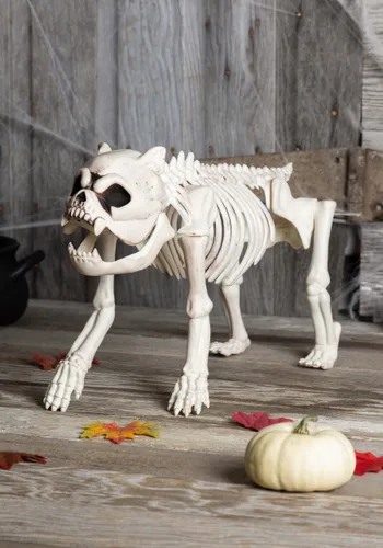 Vista 2 de Perro esqueleto de Bones the Hungry Hound Multicolor
