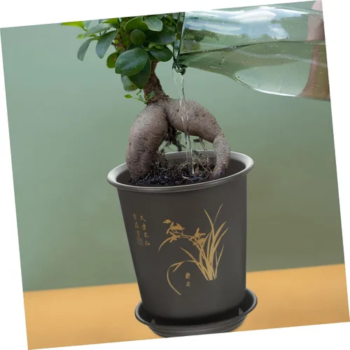 Vista 8 de 3 Pack Plastic Orchid Pots with Saucer Set, Deep Flower Planters for Home