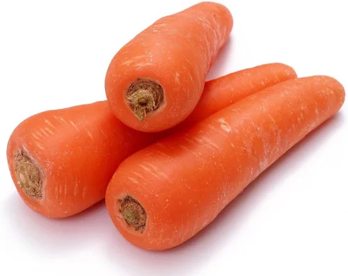 Vista 4 de Zanahoria Vegetal Red Giant - 1000 Semillas