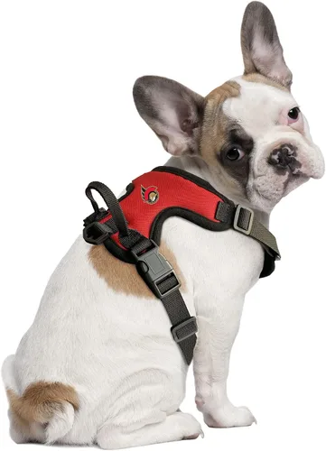 Vista 2 de Littlearth NHL Unisex-Adult NHL Front Clip Pet Harness