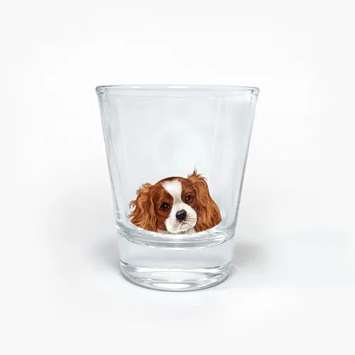 Vista 9 de WIRESTER Vaso de chupito de 1.5 onzas con base pesada, vaso de chupito transparente para whisky, vodka - Basset Hound Dog