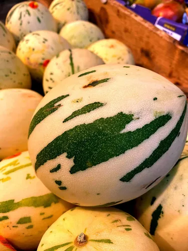 Vista 9 de Semillas de melón para plantar (10 semillas) - Cultiva tu propio alimento (Melón amargo negro)
