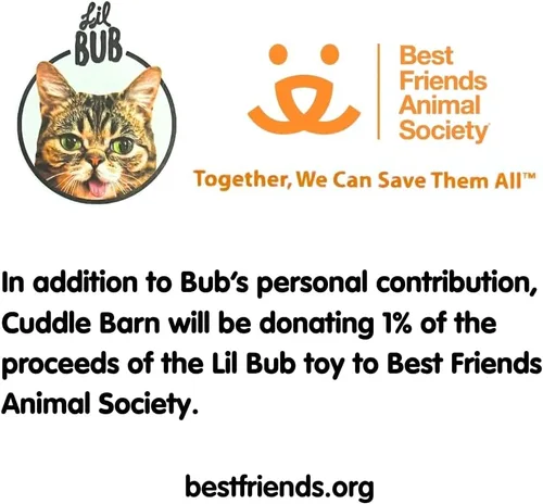 Vista 7 de Cuddle Barn - Lil BUB Peluche de gatito suave y adorable, juguete de animal de peluche, 10 pulgadas