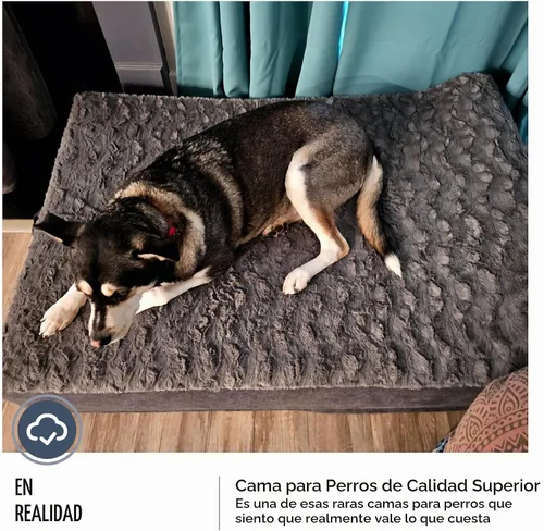 Vista 6 de Cama ortopédica jumbo para perros grandes, cama para perro de espuma viscoelástica de 7 pulgadas de grosor con funda de almohada extraíble, lavable